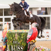Horse and rider jumping over a jump with 'Royal Bliss' branding in an equestrian setting.