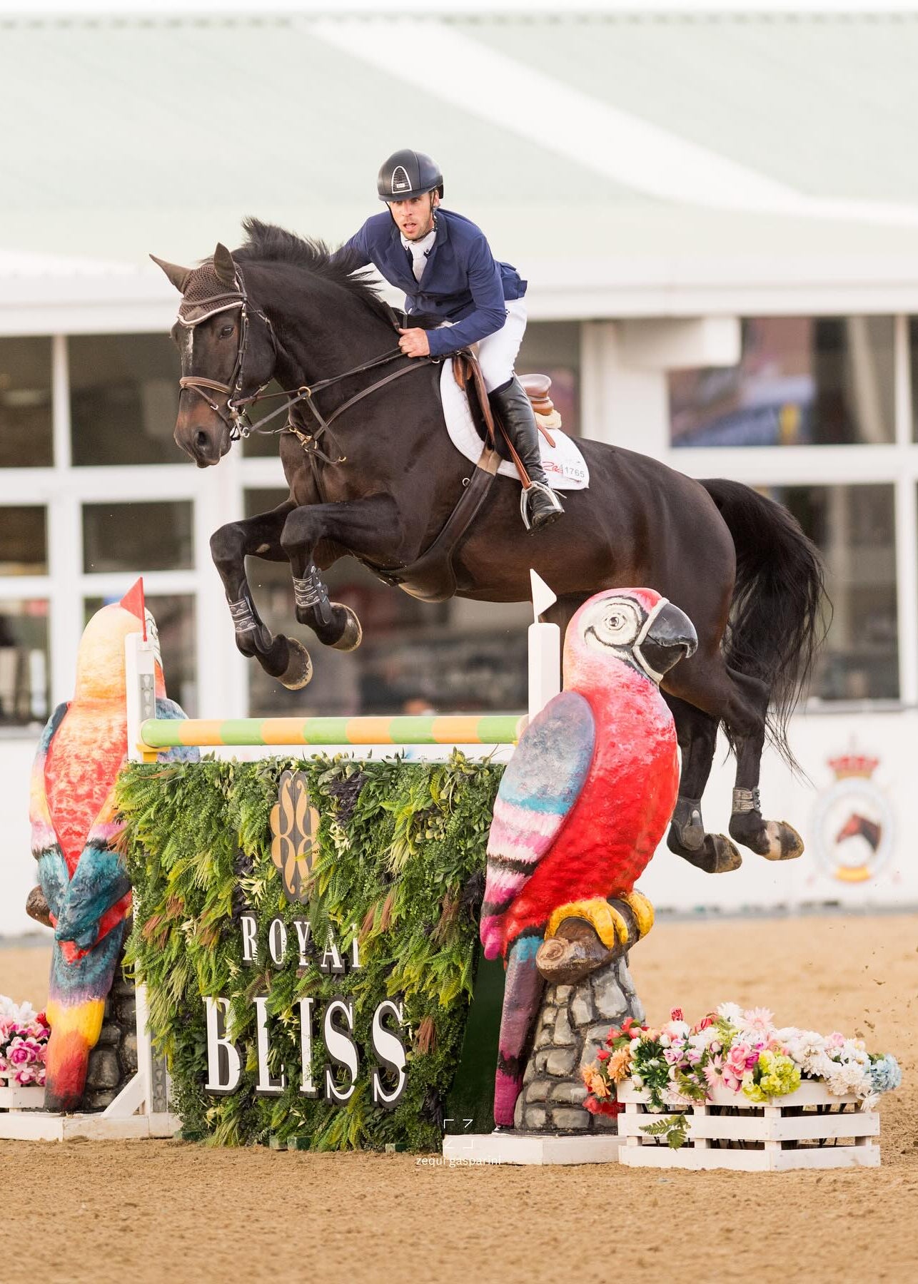 Horse and rider jumping over a jump with 'Royal Bliss' branding in an equestrian setting.