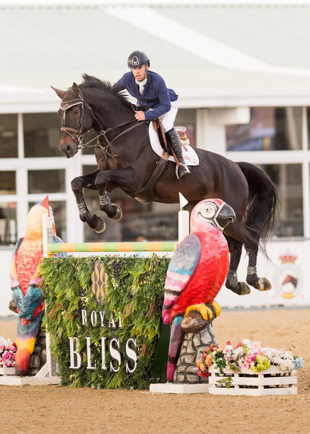 Horse and rider jumping over a jump with 'Royal Bliss' branding in an equestrian setting.