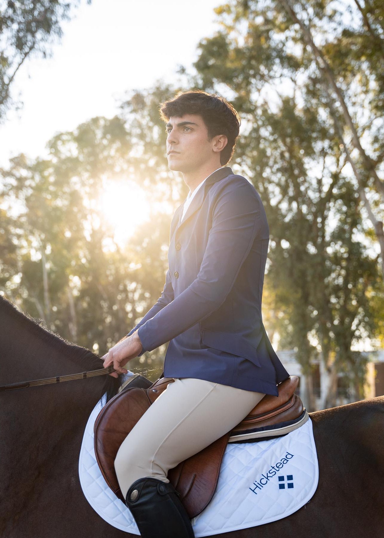 Man riding a horse with trees in the background