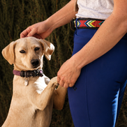 Ratina - Breeches Women
